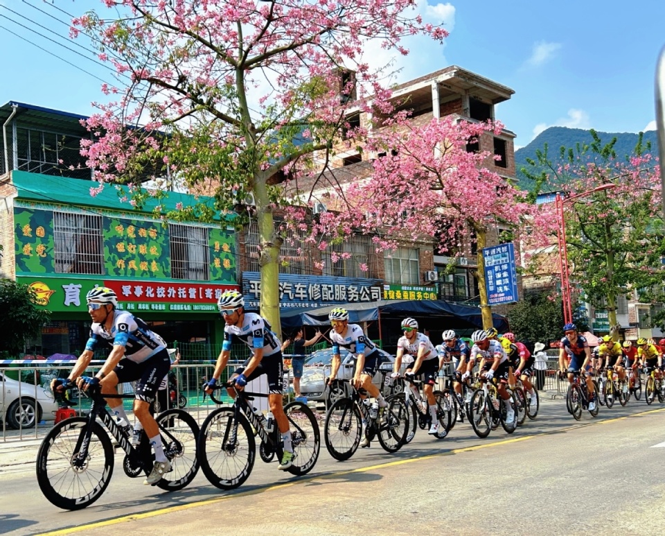 线红渡大桥, 忻城公路养, fZg