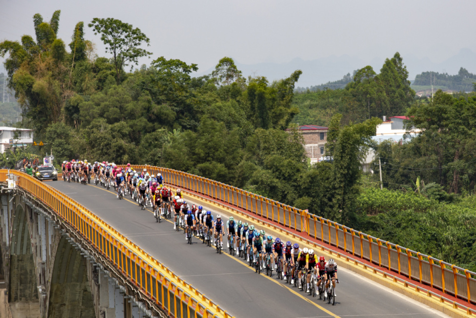 线红渡大桥, 的专业角逐